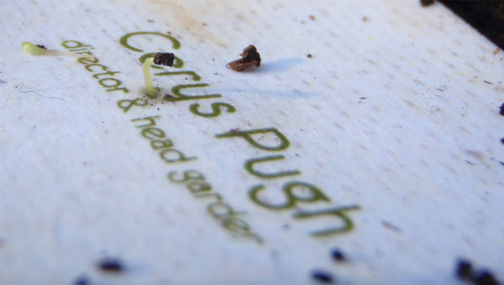 Pugh and co Identity