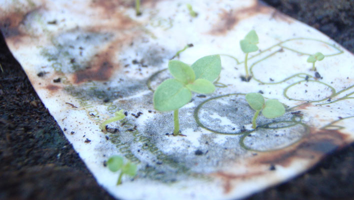 Pugh and co Identity